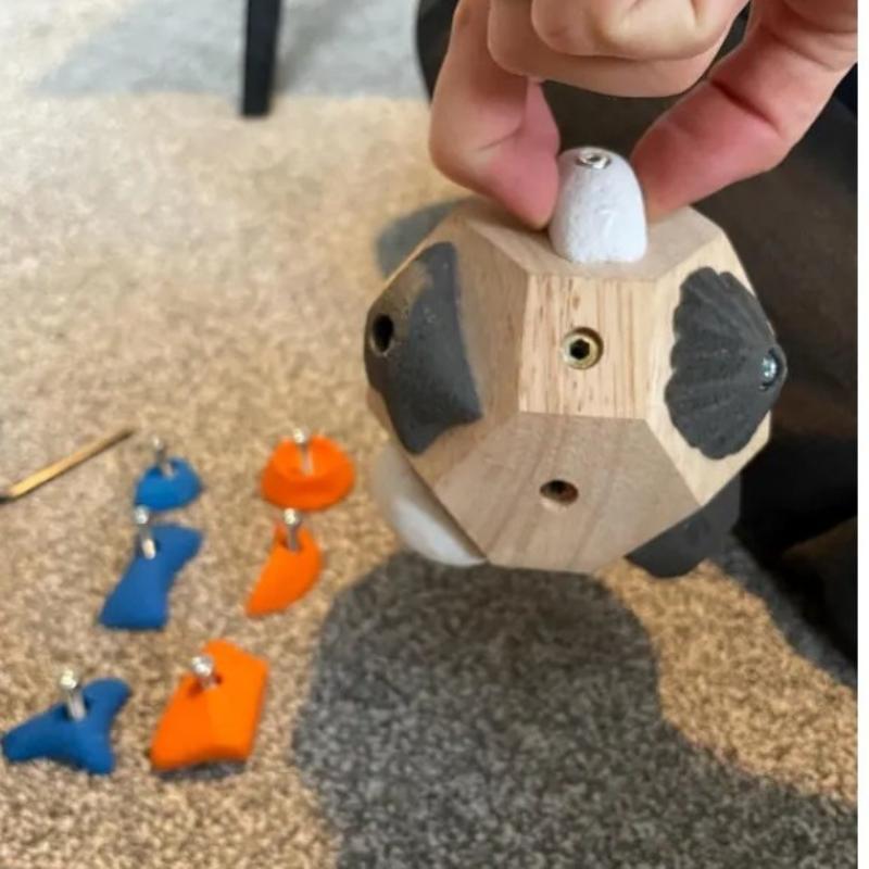 DIY 手作りボルダーブロッククライミングホールド筋力トレー - Power Tools Training のレビューと価格